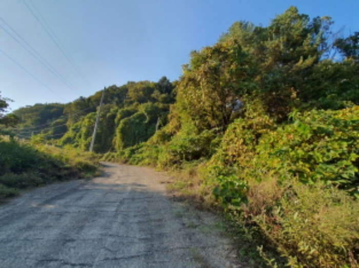 현장사진(토지:영동리 산78-5, 산400-6, 400-1 부근) 