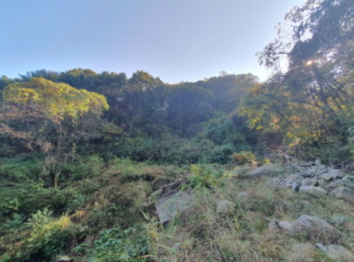 현장사진(토지:영동리 산73, 산76-4, 산76-2 부근)