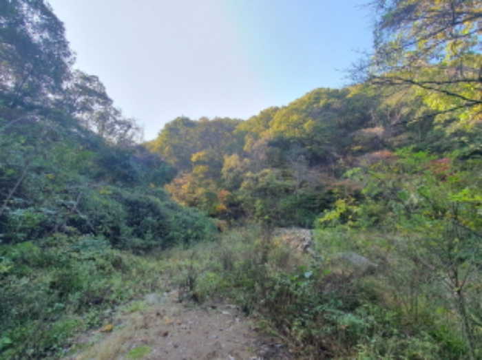 현장사진(토지:영동리 산76-7, 산76-6, 산76-4, 산76-5 부근)