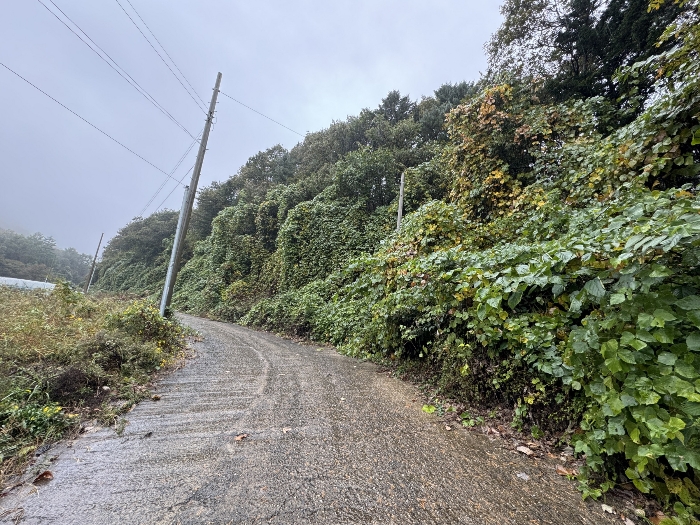 기호(27), 기호(45)