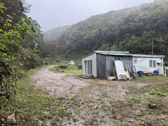 기호(29), 기호(37)