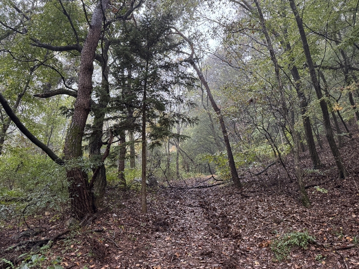 기호(15), 기호(38)