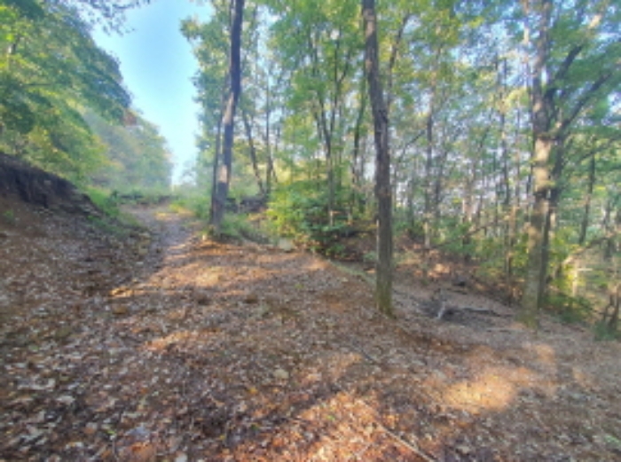 현장사진(토지:영동리 산65-25, 산65-20, 산65-5 부근)