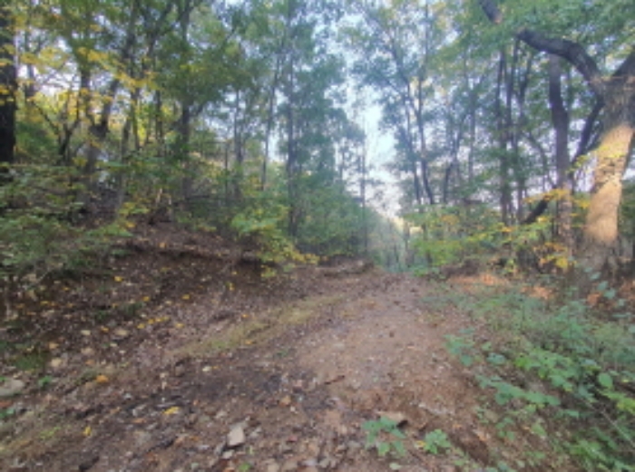 현장사진(토지:영동리 산65-8, 산65-18, 산65-19 부근)