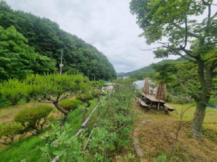 목록2 제시외 