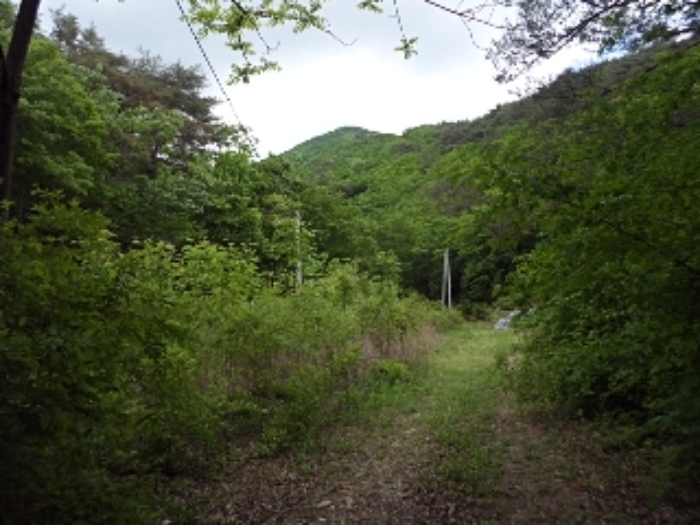 구천리 산102외 전경
