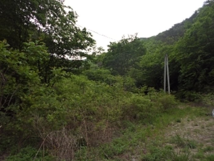 구천리 산102외 전경