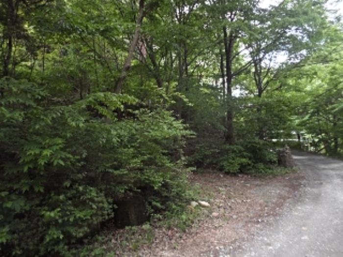 구천리 산99-2외 전경