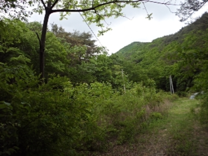 구천리 산102외 전경