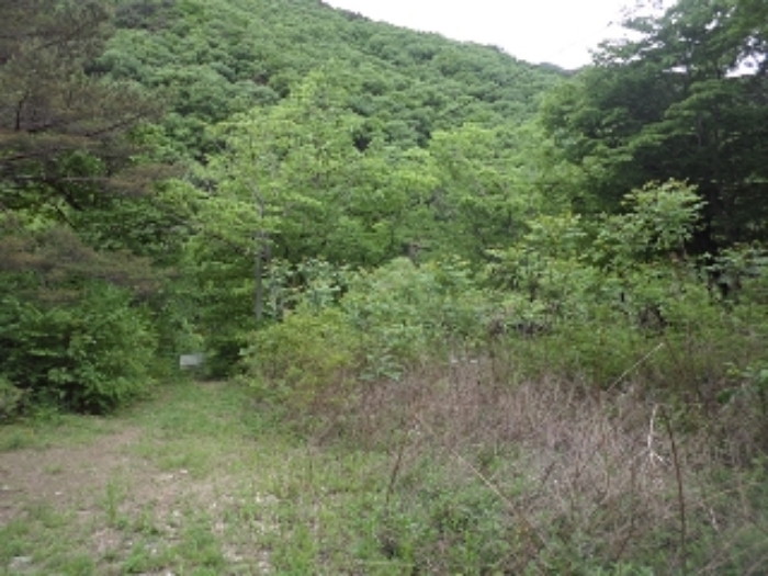 구천리 산102외 전경