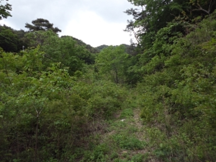 구천리 산102외 전경