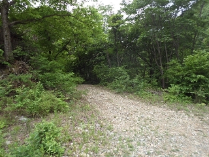 구천리 산99-1외 전경