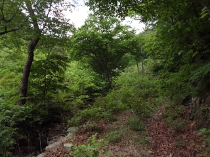 구천리 산102외 전경