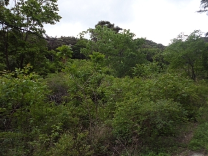 구천리 산102외 전경