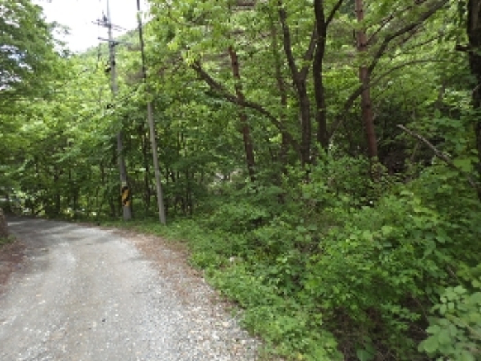 구천리 산99-2외 전경