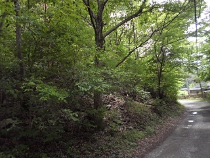 구천리 산99-2외 전경