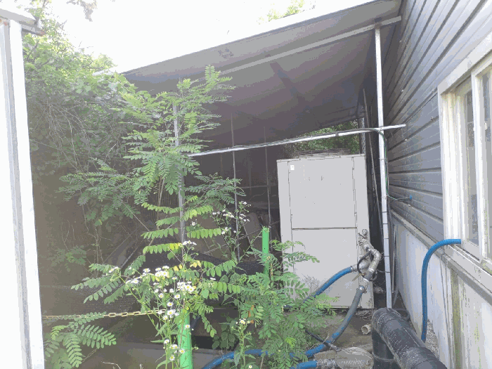 제시외 건물 ㄹ