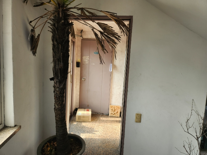 옥상층(7층)전경