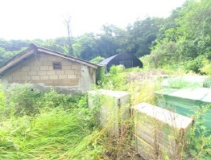 목록1 대지 위 창고 등 제시 외 건조물 2개동 및 폐석재 