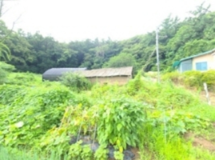 창고 등 제시 외 건축물 2개동 