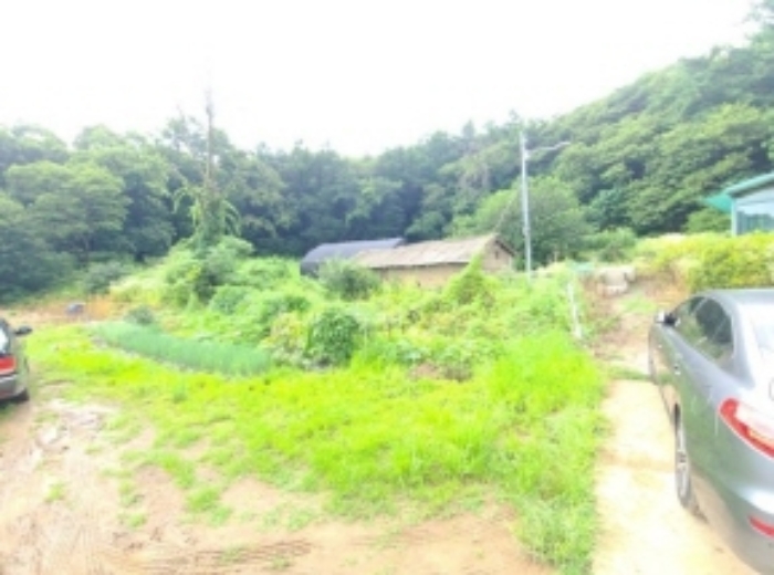 대지와 주택 및 전 전경 