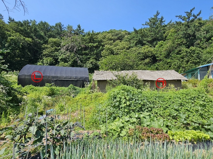 제시외건물 ㉠,㉡