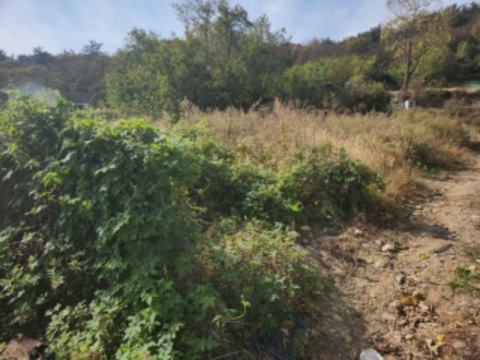 목록5 토지 전경2