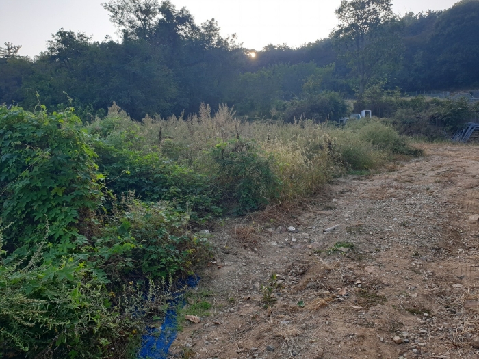 연번3(무의동 10-4) 및 연번5(무의동 14))