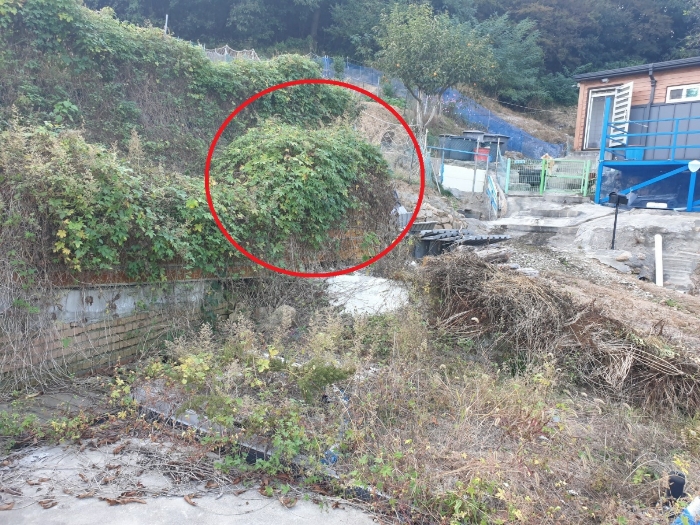 연번2(무의동 10)