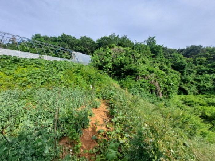 목록 3, 1 동남쪽방향 경계 언덕부분