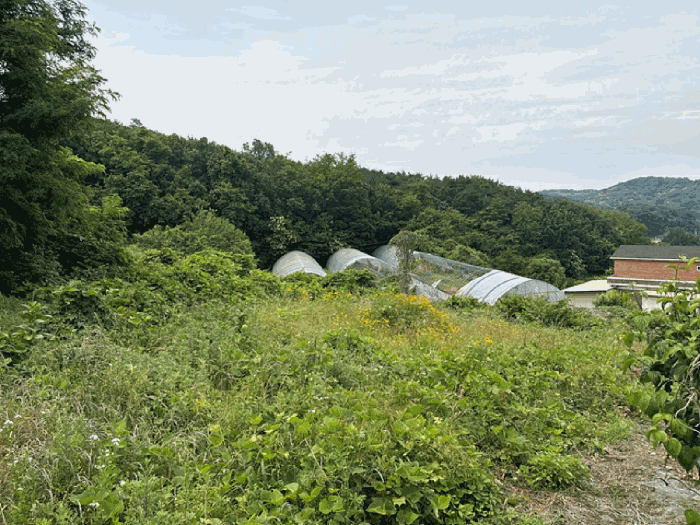 제시외 분묘