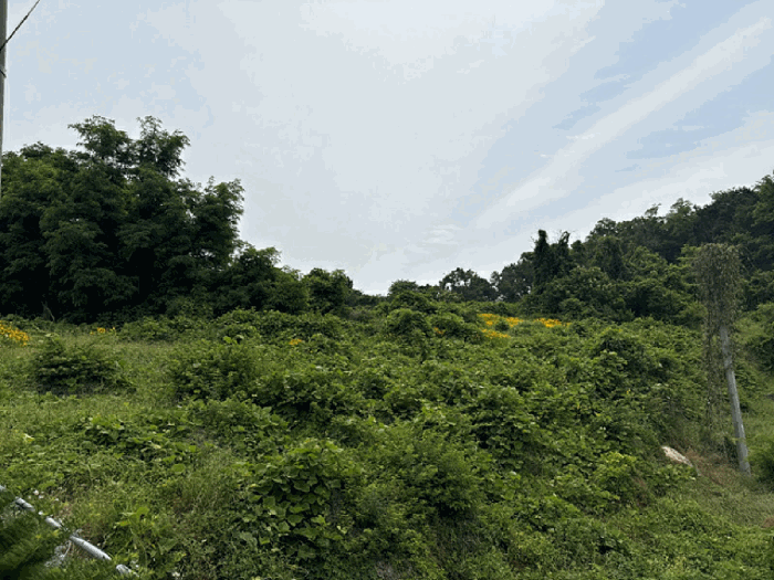 일련번호(4) 전경