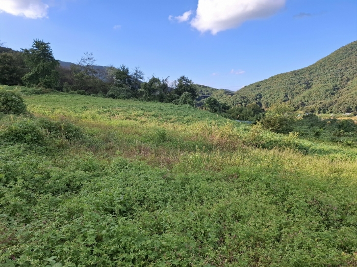 기호 (1)(4) 북측부분 전경