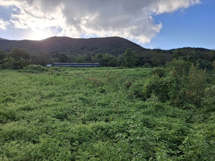 기호(1)(2)(4) 전경