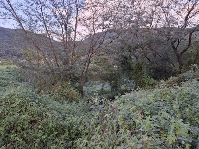 기호(3) 동측부분 전경