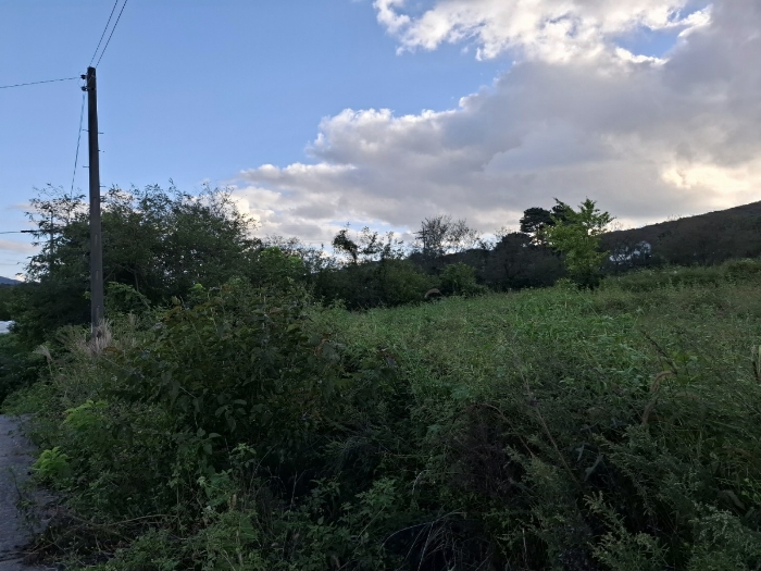 기호 (3) 동측부분 일부 전경