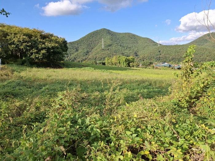 기호(1)(2)(4)(7)(9)