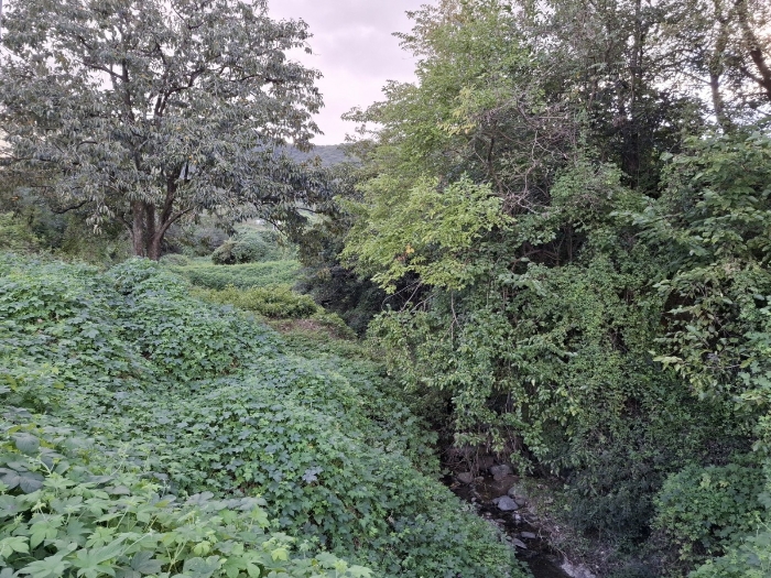 기호(3) 동측부분 전경