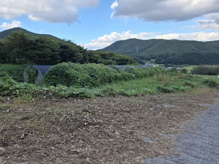 기호 (3)의 중앙부분 및 동측 전경