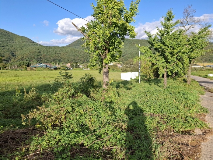 기호(2)(5)((7)(8)(9)전경