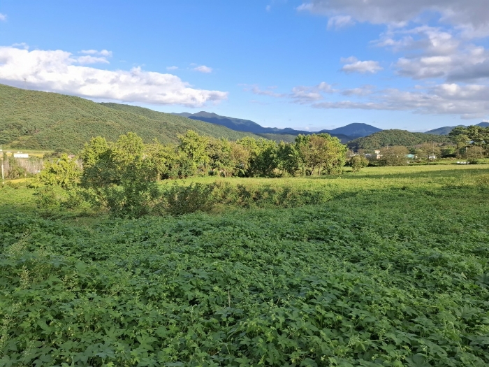 기호 (1)(2)(7)(9) 전경