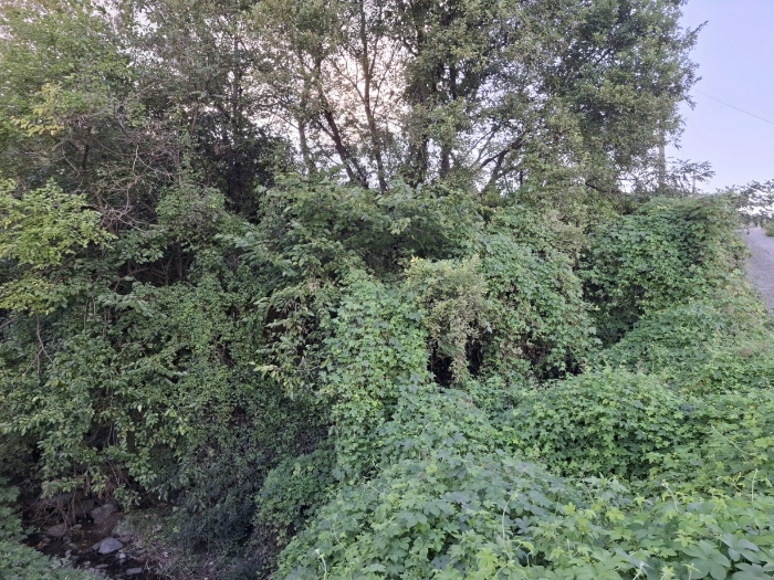 기호(3) 동측부분 전경