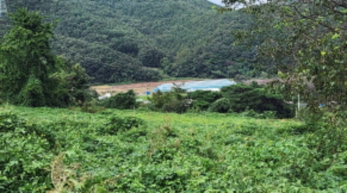 부동산의 표시 11.