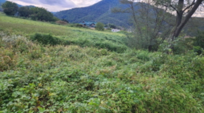 부동산의 표시 5. 