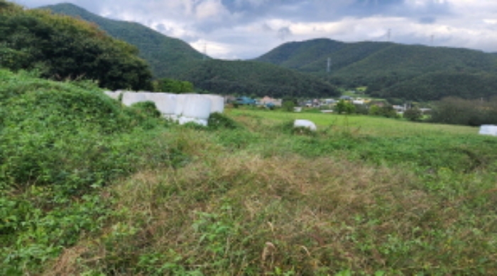 부동산의 표시 6.