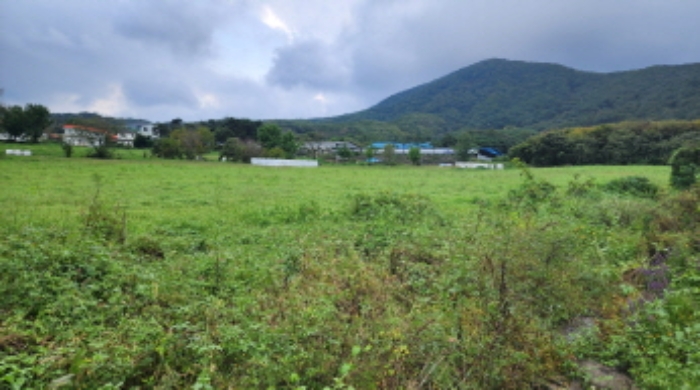 부동산의 표시 7, 8, 9.