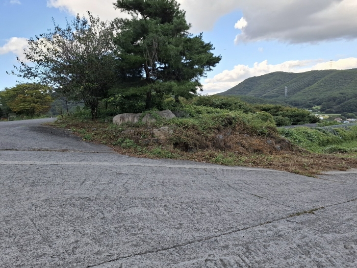 남서측에서 본 대상 및 전경