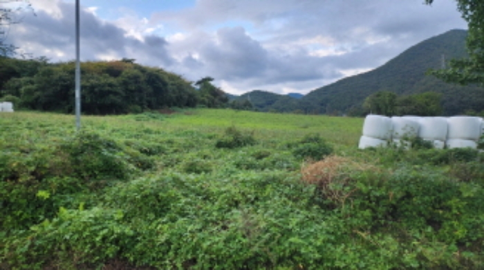 부동산의 표시 8. 