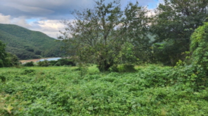 부동산의 표시 4의 일부