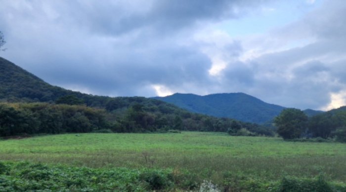 부동산의 표시 1, 4.